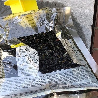 Anpassungsgröße PVC-Fliegenfänger Fliegentasche Käfig zur Fluchbekämpfung in jeder Umgebung
