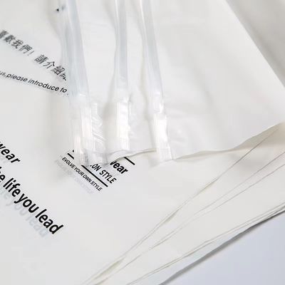 Gravure Printed PE Weißboden Transparent Komposit Schiebefeste Plastiktüte mit Reißverschluss
