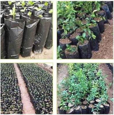Kunststoff-Kinderbeutel für Gartenpflanzen Obst-Gemüse-Blumenpflanzer