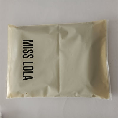 Anpassen Sie jede Farbe Feuchtigkeitsdichte Polybags für Schuhe und Kleidung Frosted Zipper Bag