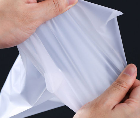 Öko-freundliche Druckkunst Kunststoff-Zip-Lock Verpackungstüten für Kleidung 0,08mm Custom Staub